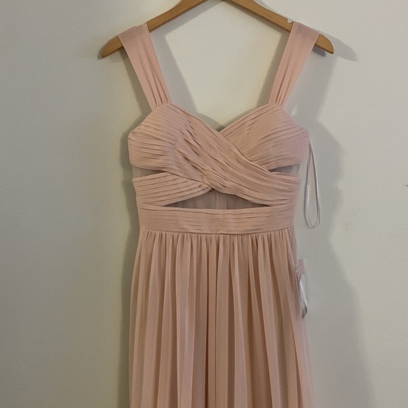 NWT Birdie Grey Elsye Pale Blush Gown! - Picture 4 of 10